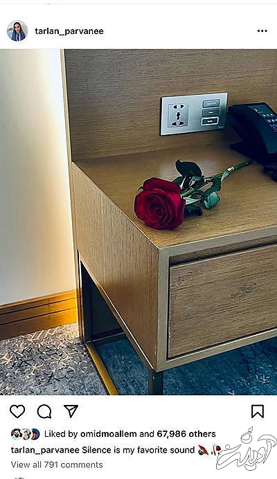 از جنجال ترلان پروانه تا پدر و پسری رضا گوچی